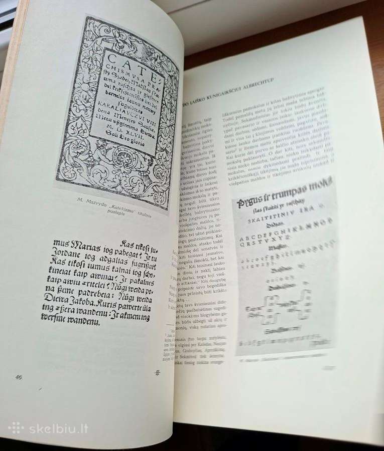 Knyga 1957m. Lietuvių literatūros istorija - nuotraukos Nr. 9