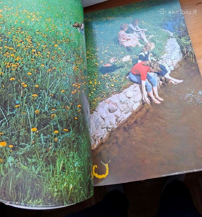 Knyga 1984m. Daina Lietuvai - nuotraukos Nr. 10