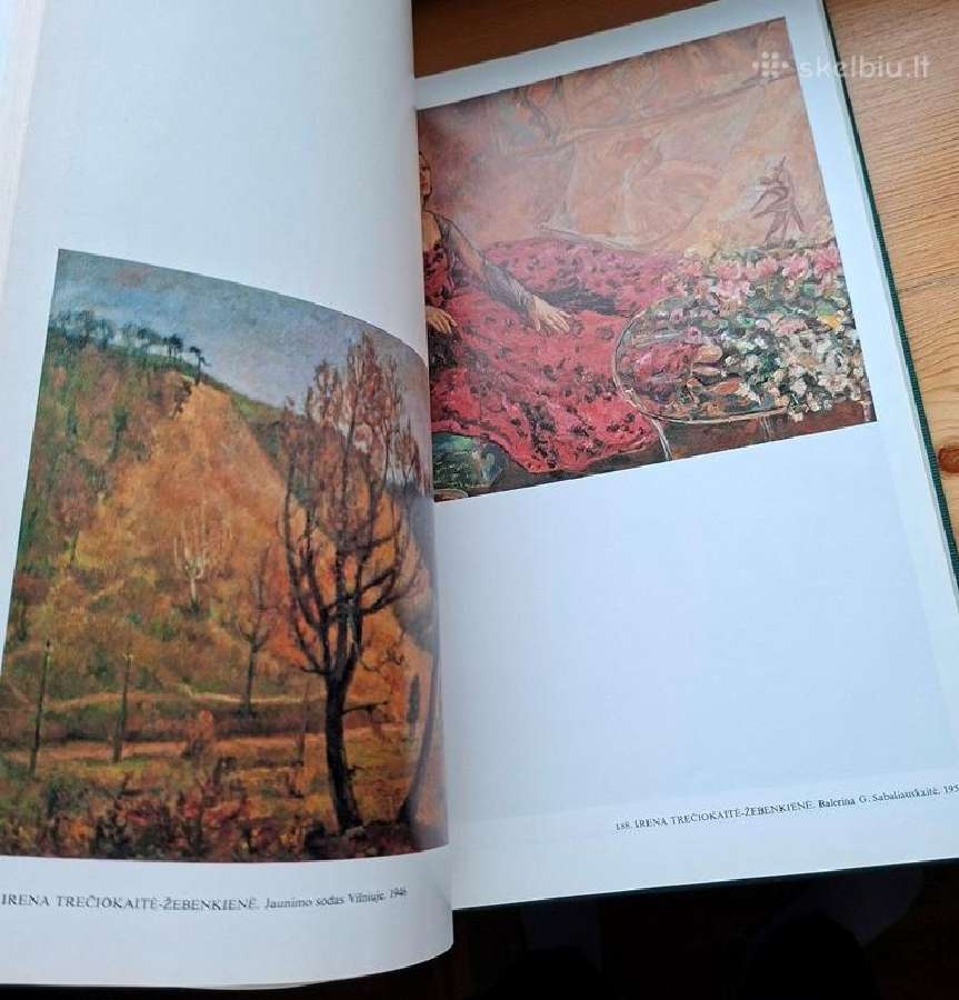 Knyga 1979 m. Lietuvos tapyba - nuotraukos Nr. 8