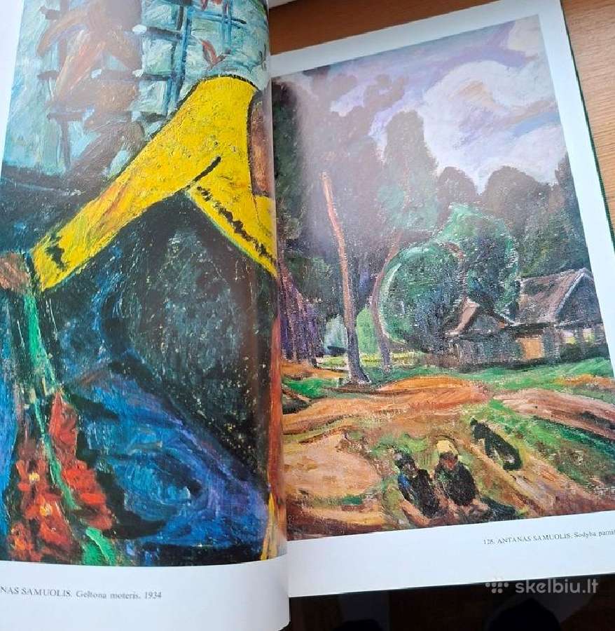 Knyga 1979 m. Lietuvos tapyba - nuotraukos Nr. 9