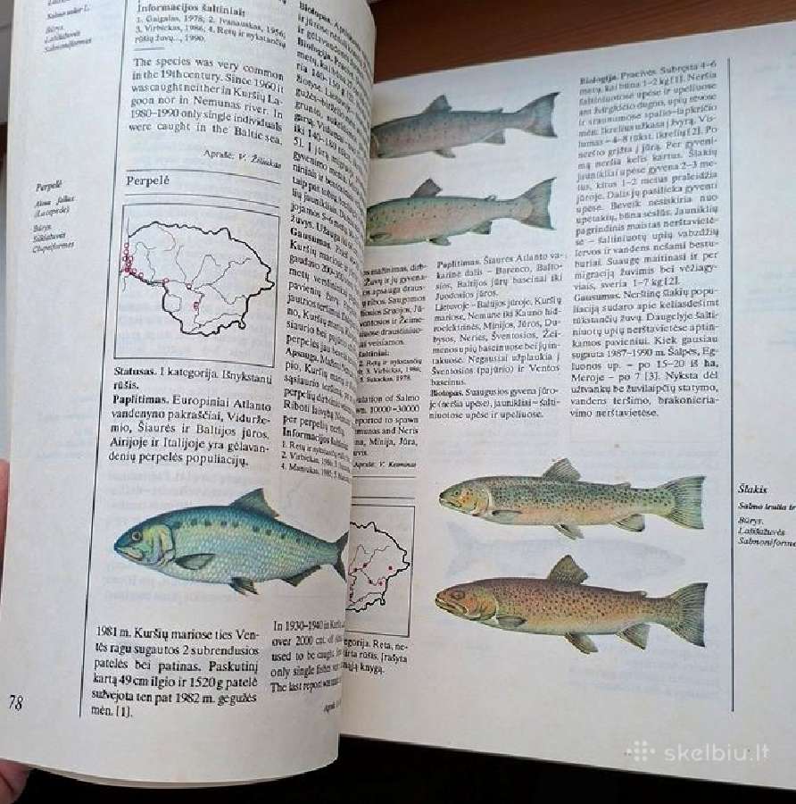 Knyga 1992m. Lietuvos raudonoji knyga - nuotraukos Nr. 8