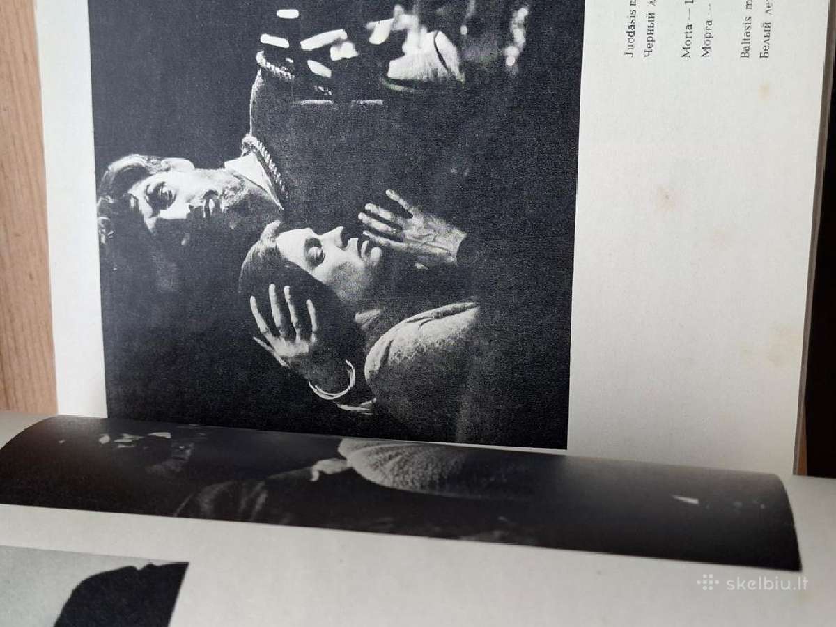 Knyga 1976m. Ltsr akademinis dramos teatras - nuotraukos Nr. 7