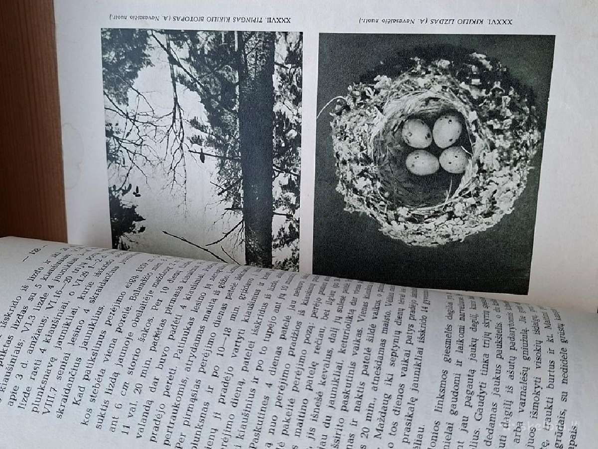 Knyga 1964m. Lietuvos paukščiai 3 - nuotraukos Nr. 6