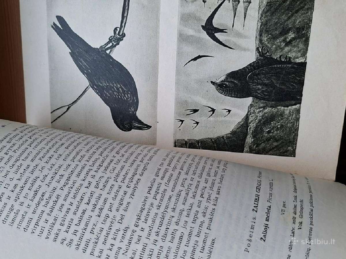 Knyga 1964m. Lietuvos paukščiai 3 - nuotraukos Nr. 7