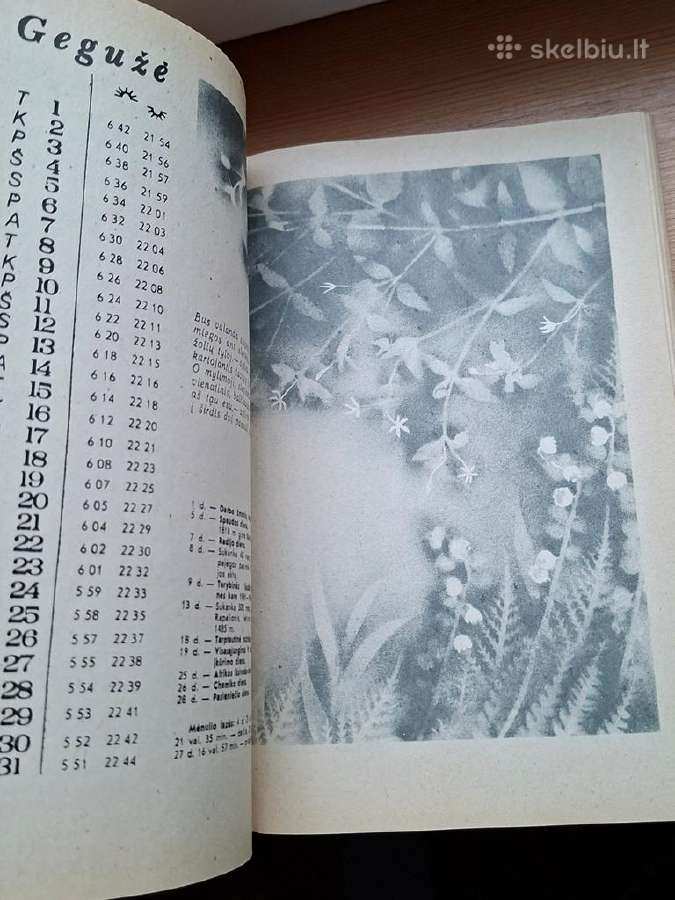 Knyga 1984m. Šeimos kalendorius 1985 - nuotraukos Nr. 7