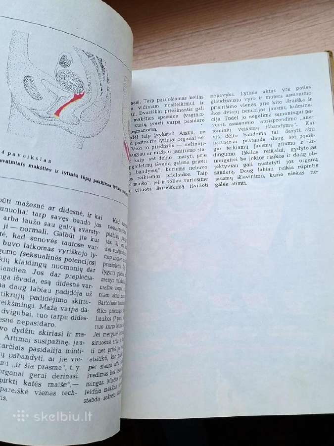 Knyga 1981m. Ar jau galvoji apie meilę? - nuotraukos Nr. 7