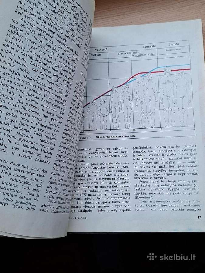 Knyga 1981m. Ar jau galvoji apie meilę? - nuotraukos Nr. 9
