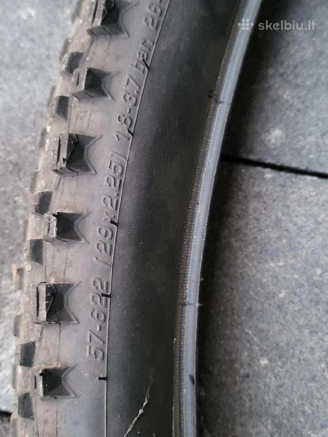 Dviračio padanga Schwalbe Racing Ralph 29x2.25 - nuotraukos Nr. 3