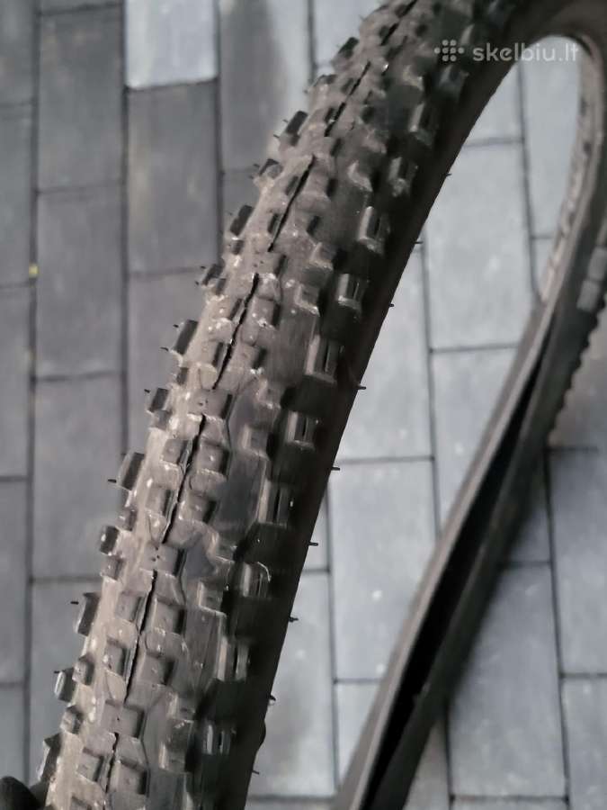 Dviračio padanga Schwalbe Racing Ralph 29x2.25 - nuotraukos Nr. 5
