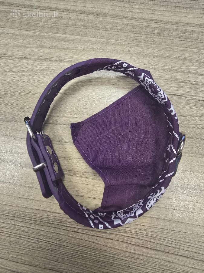 Violetinis antkaklis šuniui su skarele, S dydis - nuotraukos Nr. 2