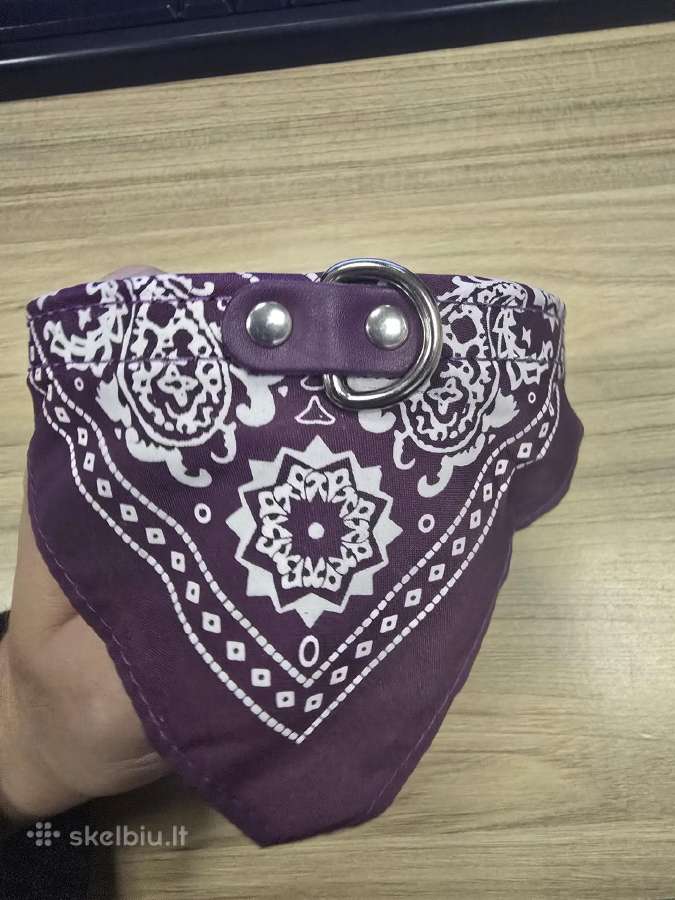 Violetinis antkaklis šuniui su skarele, S dydis - nuotraukos Nr. 4