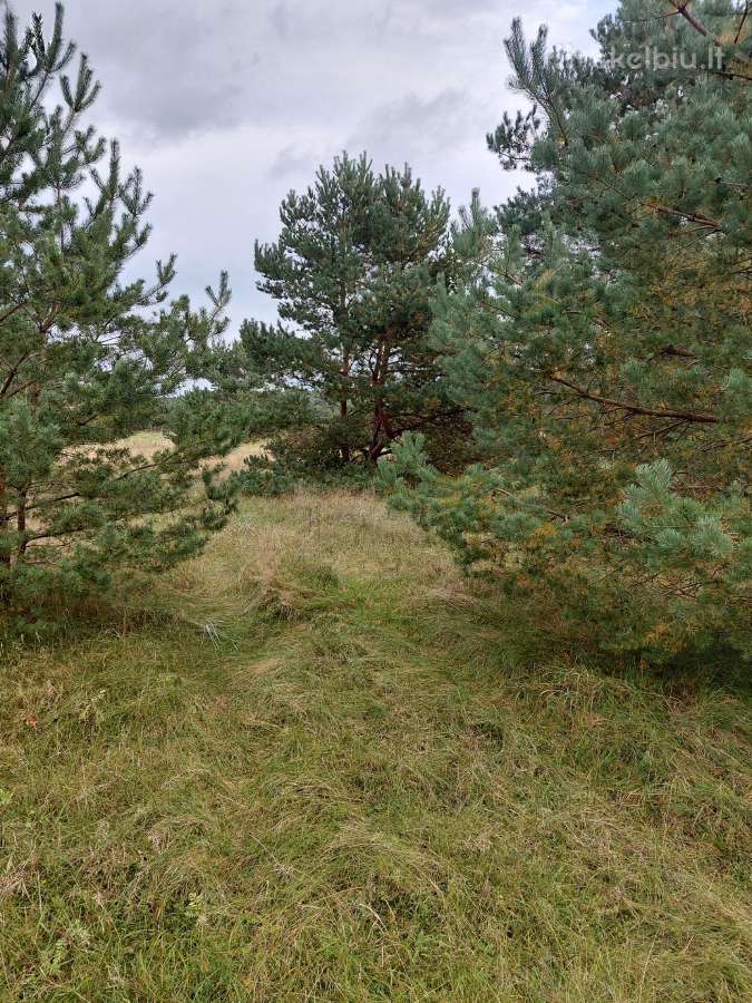 Parduodami sklypai Šventojoi Butingės gatvė. - nuotraukos Nr. 2