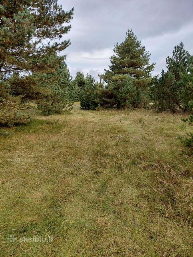 Parduodami sklypai Šventojoi Butingės gatvė. - nuotraukos Nr. 3