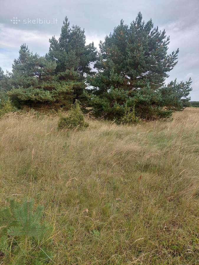 Parduodami sklypai Šventojoi Butingės gatvė. - nuotraukos Nr. 6