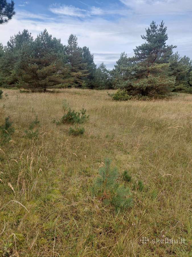 Parduodami sklypai Šventojoi Butingės gatvė. - nuotraukos Nr. 7