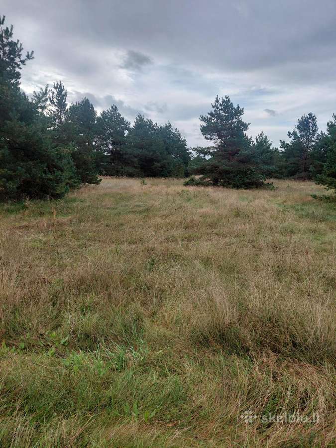 Parduodami sklypai Šventojoi Butingės gatvė. - nuotraukos Nr. 8