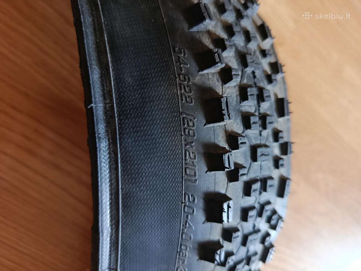 Schwalbe racing Ralph Evolution padangos - nuotraukos Nr. 2