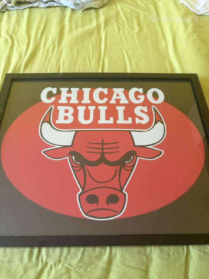 Chicago Bulls Paveikslas 40x50cm - nuotraukos Nr. 2
