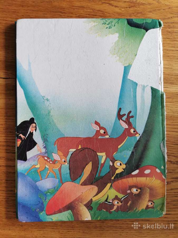 Knyga - nuotraukos Nr. 2