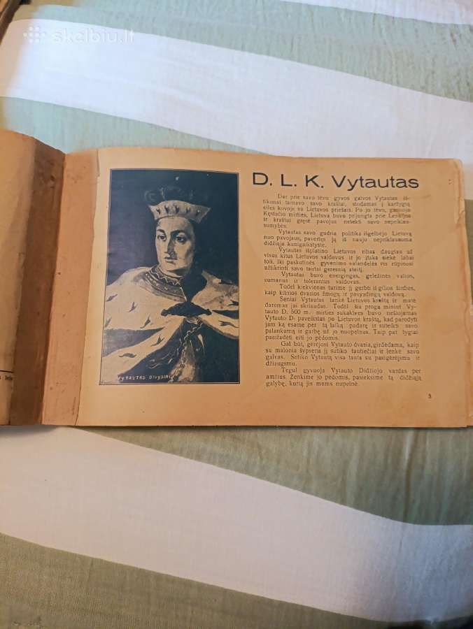 K.vytauto jubiliejinis 1930 albumas - nuotraukos Nr. 3