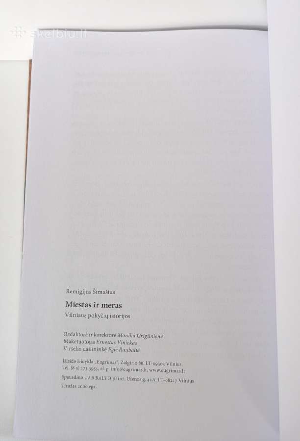 Miestas ir meras - nuotraukos Nr. 6