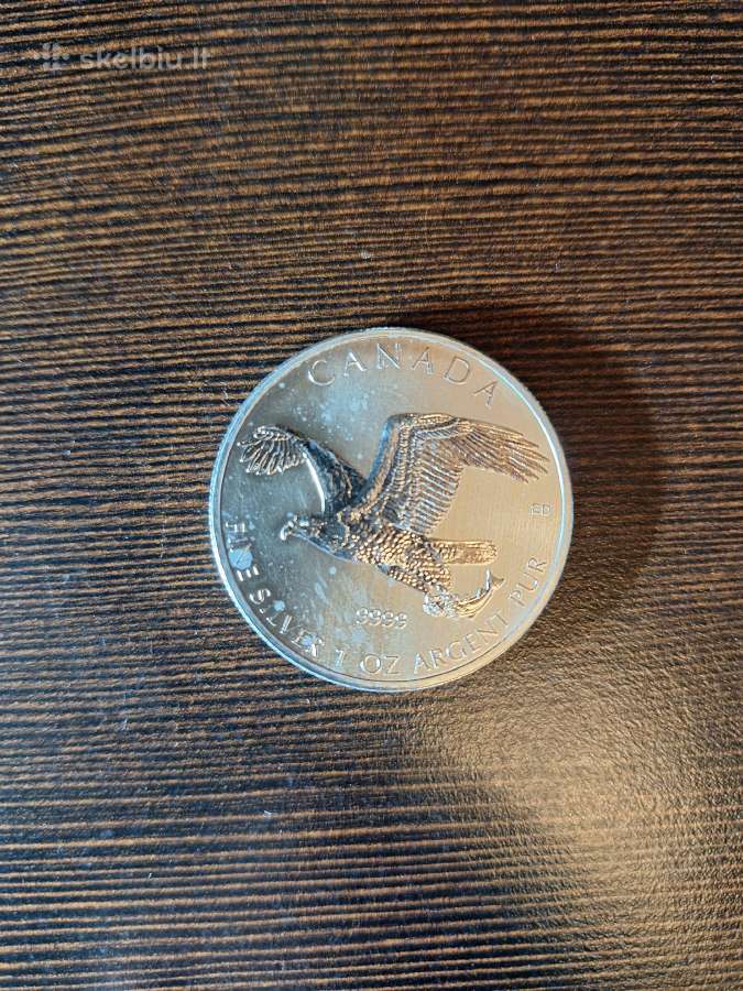 Parduodu sidabrines monetas – 1 oz 1/2 oz - nuotraukos Nr. 4