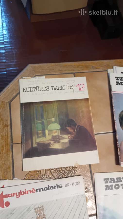 Gal kas domisi - nuotraukos Nr. 5
