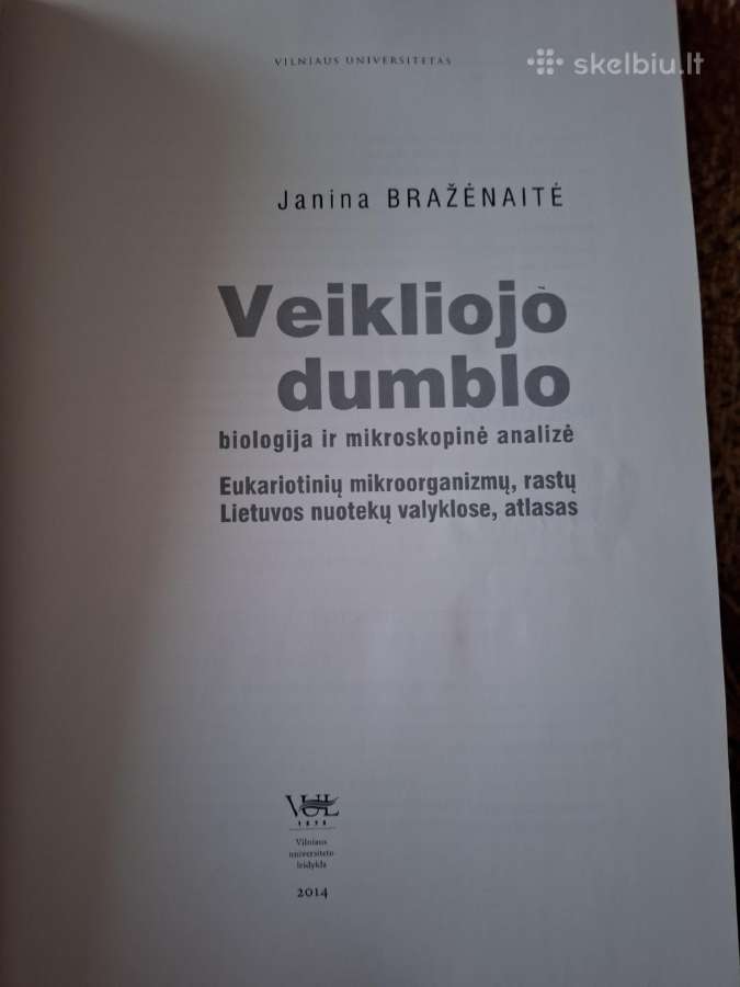 Veikliojo dumblo analizė - nuotraukos Nr. 2