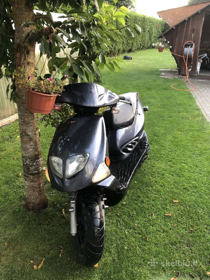 Pgo T-rex 50cc ac - nuotraukos Nr. 2
