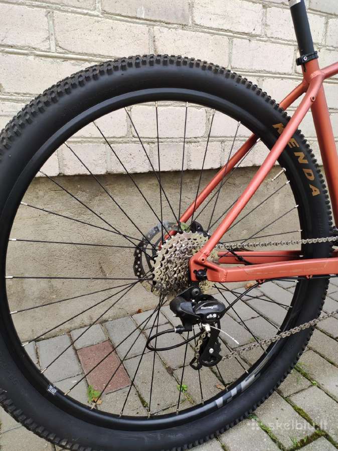 Orbea Onna 50 29er L 2x8s 2024 - nuotraukos Nr. 5