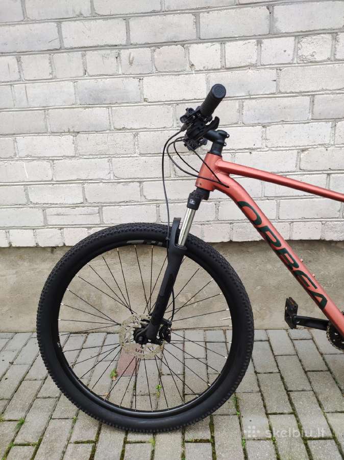 Orbea Onna 50 29er L 2x8s 2024 - nuotraukos Nr. 9