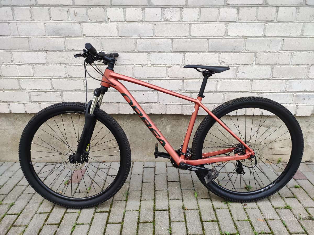 Orbea Onna 50 29er L 2x8s 2024 - nuotraukos Nr. 10