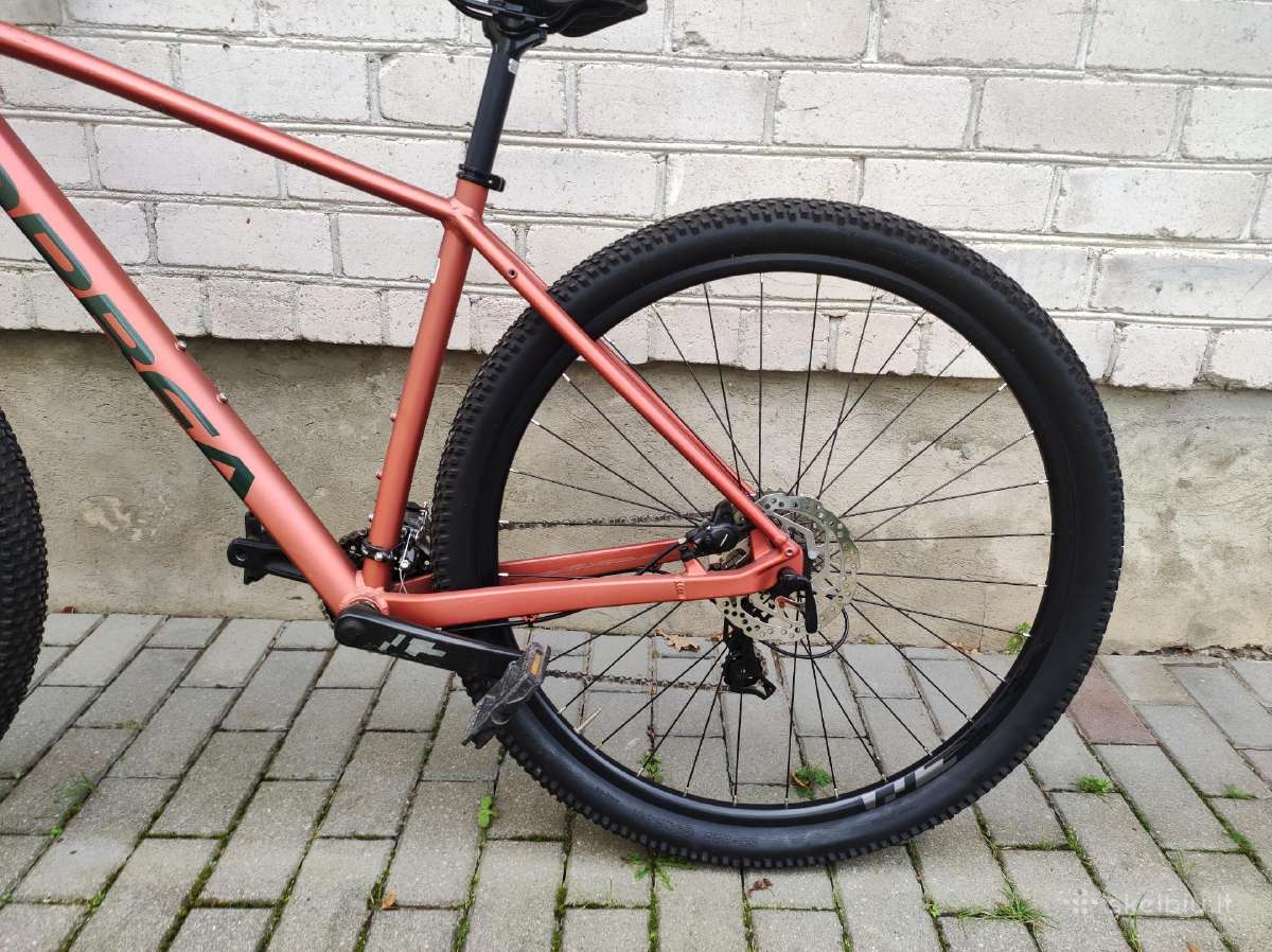 Orbea Onna 50 29er L 2x8s 2024 - nuotraukos Nr. 12
