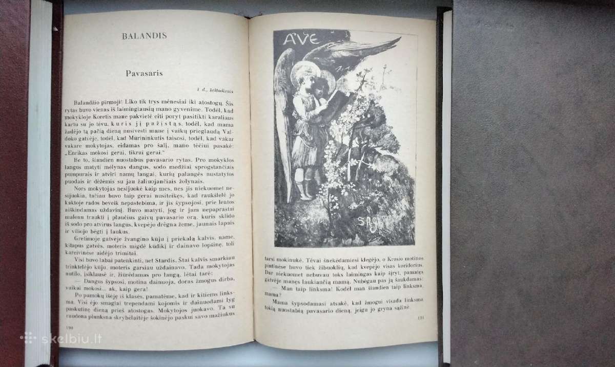 E. de Amičis. Širdis. 1989 m. leid. - nuotraukos Nr. 10