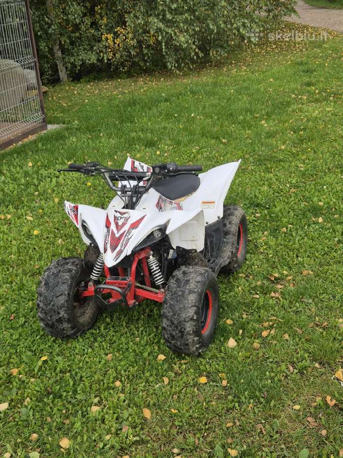 Keturatis 110cc - nuotraukos Nr. 5