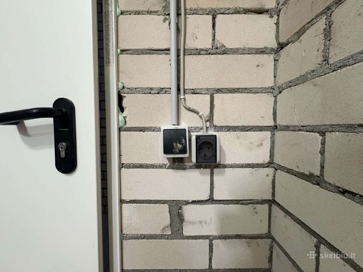 Rūsys Pašilaičiuose - nuotraukos Nr. 3