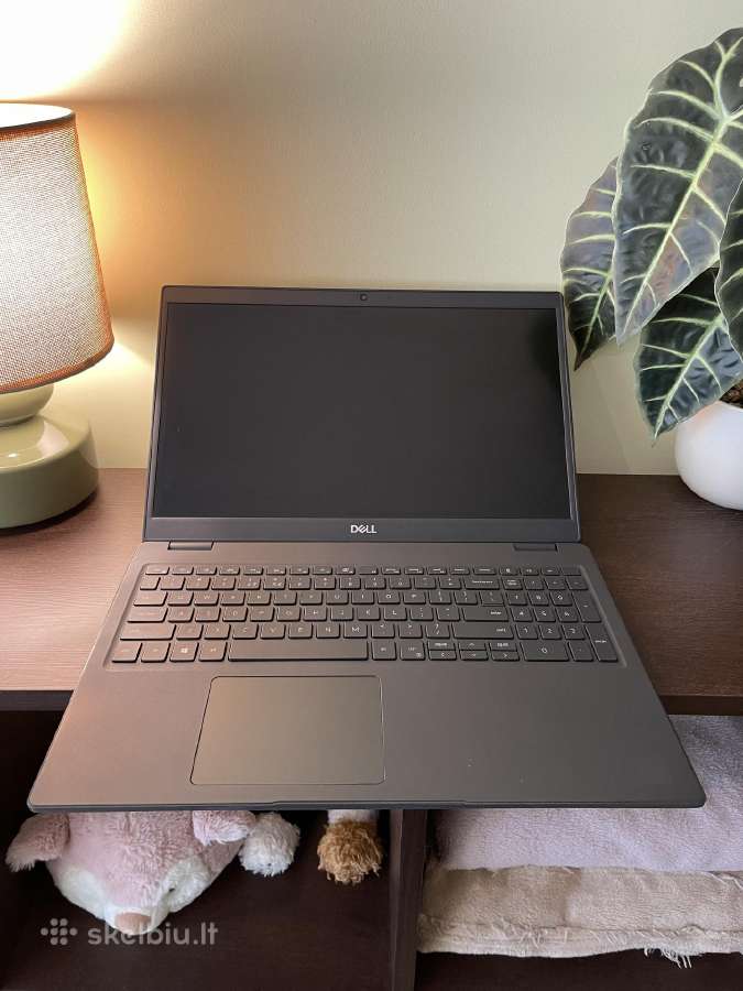 Dell Latitude / i5-10210u / 16gb RAM / 256gb Nvme - nuotraukos Nr. 8