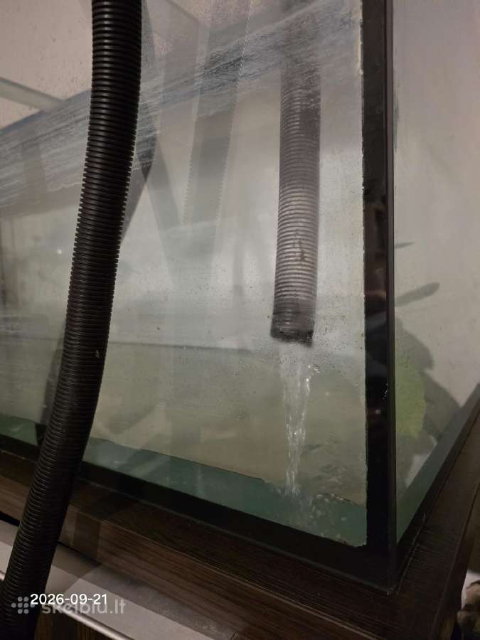 550 l akvariumas + spintelė + filtras + Uv lempa - nuotraukos Nr. 13