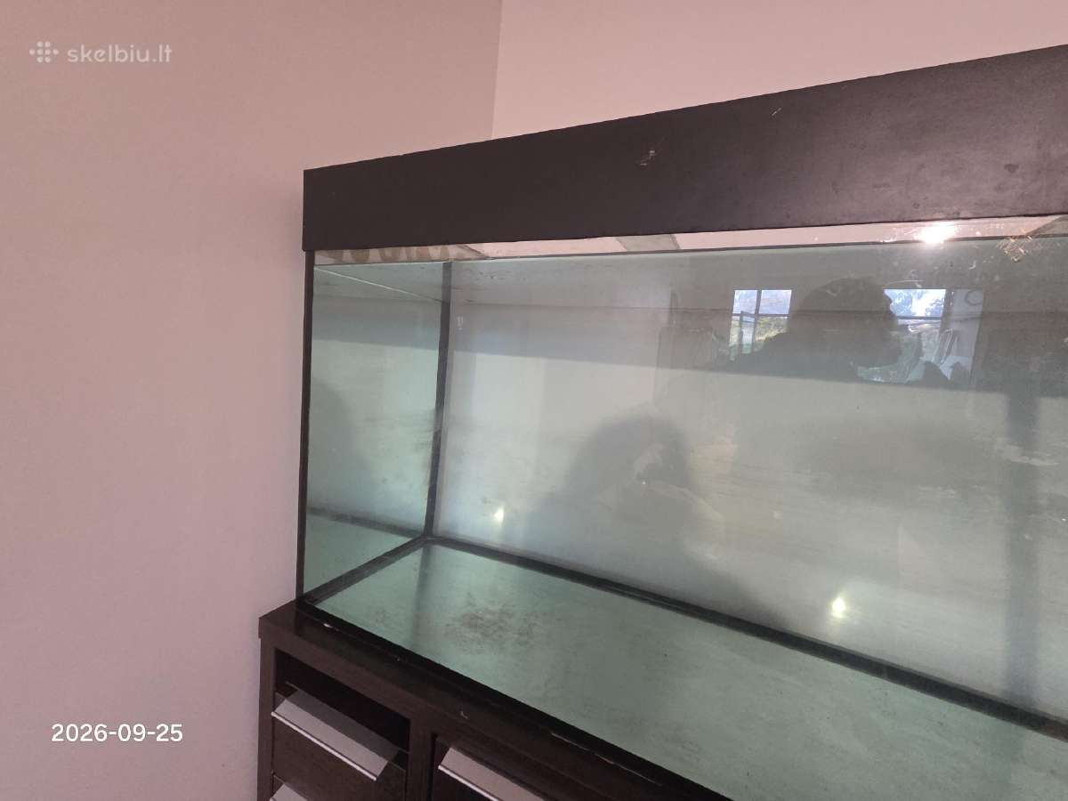 550 l akvariumas + spintelė + filtras + Uv lempa - nuotraukos Nr. 4