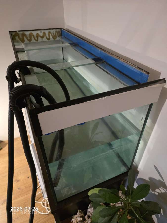 550 l akvariumas + spintelė + filtras + Uv lempa - nuotraukos Nr. 3
