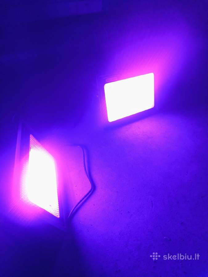 Neoninės LED lempos patalpai (renginiams) - nuotraukos Nr. 3