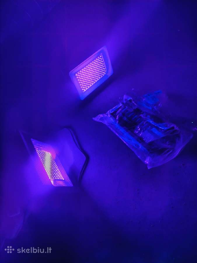 Neoninės LED lempos patalpai (renginiams) - nuotraukos Nr. 4