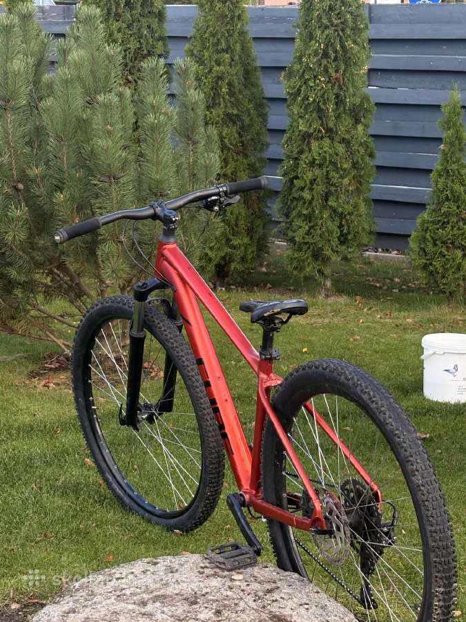 Cube aim pro2025 metai Remo m dydis29 ratai - nuotraukos Nr. 2