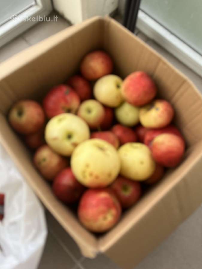 iPhone 13 128gb - nuotraukos Nr. 5