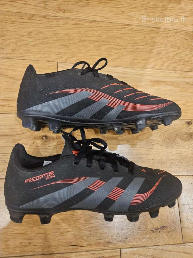 Bucai Predators - nuotraukos Nr. 2