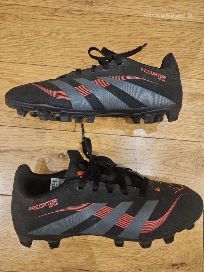 Bucai Predators - nuotraukos Nr. 3