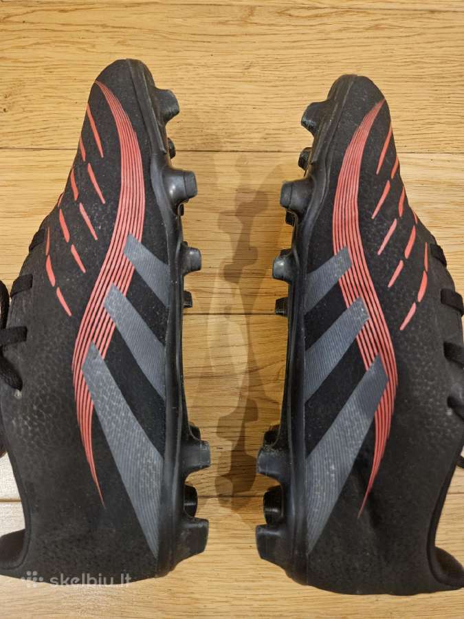 Bucai Predators - nuotraukos Nr. 5