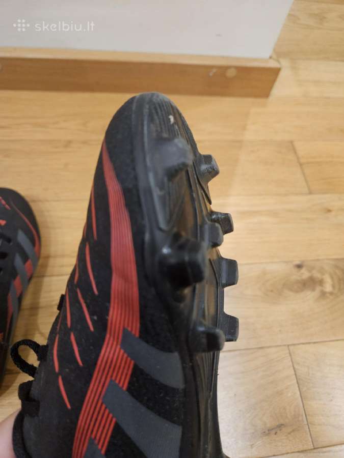 Bucai Predators - nuotraukos Nr. 7