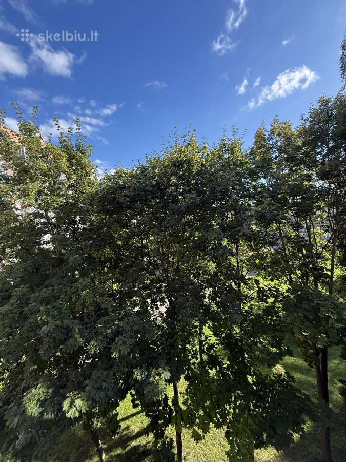 1 k ilgalaikė buto nuoma Klaipėdoje - nuotraukos Nr. 15