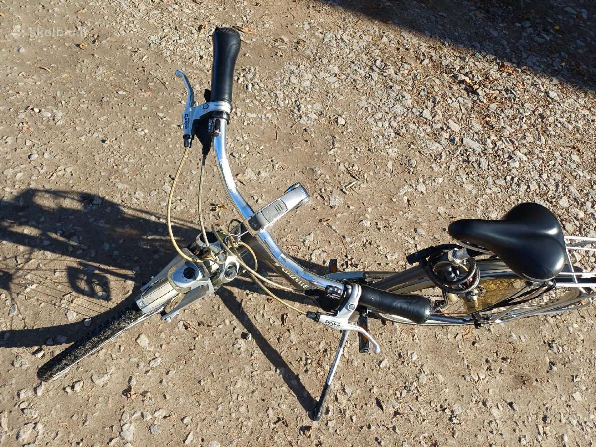 Gazelle dviratis, su žemu rėmu - nuotraukos Nr. 5
